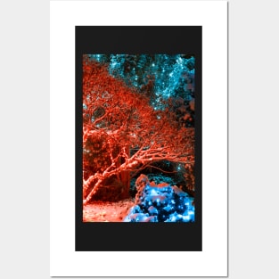 Winter Night Lights of Meadowlark Gardens Posters and Art